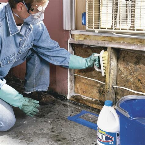 Mold Testing: How to Test for Mold in the House .